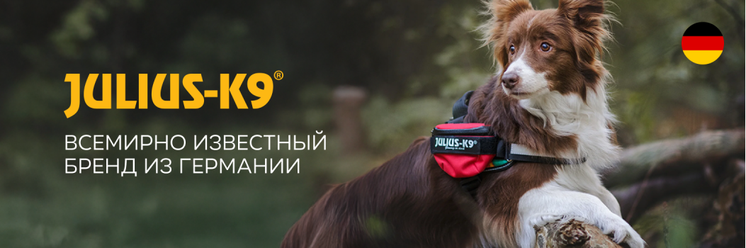 JULIUS-K9