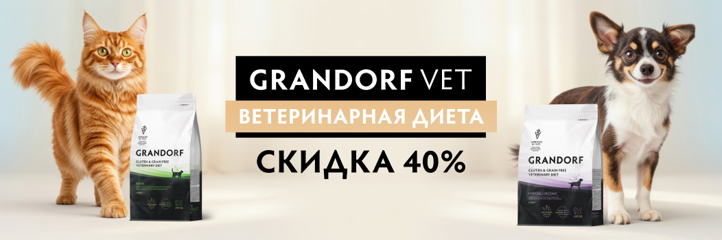 Grandorf vet