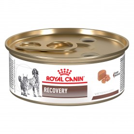 Royal Canin Recovery loaf Консервы кошек и собак диетический, 195 г