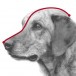 Trixie Намордник пластиковый с сеткой S, 17 см