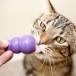 KONG Kitty Игрушка для котят