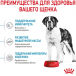 Royal Canin Giant Junior Сухой корм для собак крупных пород от 8 до 18/24 мес, упаковка 15 кг, на развес 1 кг