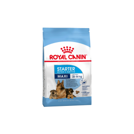 Royal Canin Maxi Starter Mother & Babydog Сухой корм для собак крупных пород, упаковка 15 кг