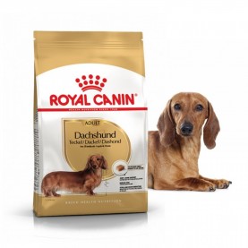 Royal Canin Dachshund Adult Сухой корм для собак породы такса, 1.5 кг