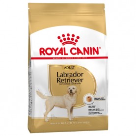 Royal Canin Labrador Retriever Adult Сухой корм для взрослых собак пород Лабрадор, упаковка 12 кг
