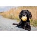 Trixie Игрушка мяч с дырочками и колокольчиком для слабовидящих и слепых собак, 7 см
