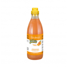 Iv San Bernard Groomer Orange Шампунь укрепляющий, 500 мл