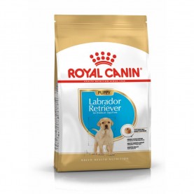 Royal Canin Labrador Retriever Puppy Сухой корм для щенков пород Лабрадор, упаковка 12 кг