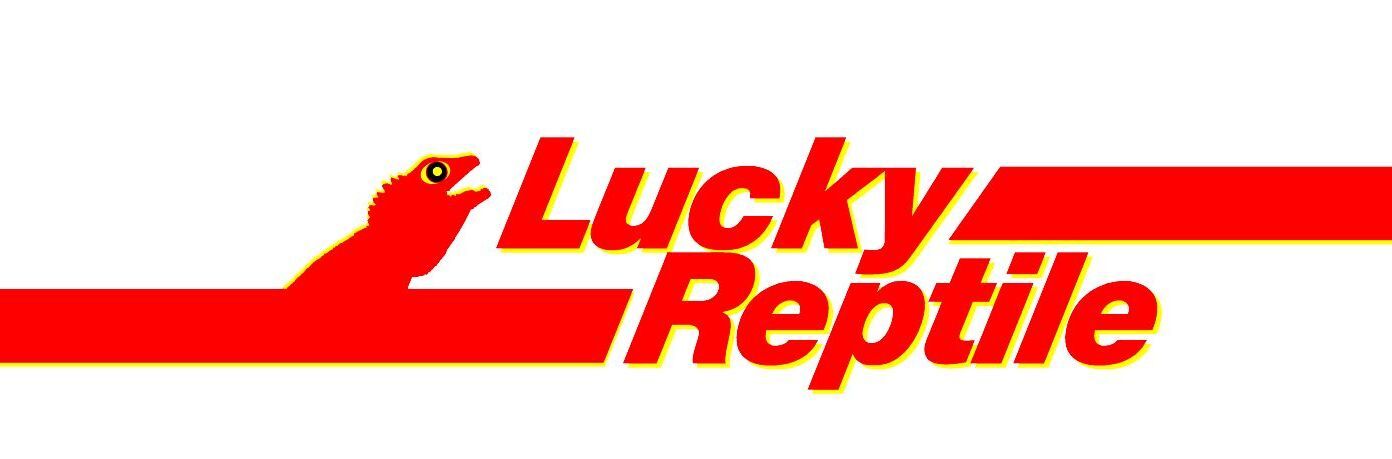 LUCKY REPTILE